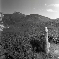/album/nordphoto/pace-alpina-jpg/